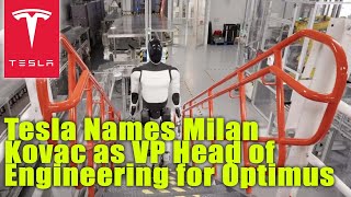 Tesla Names Milan Kovac as VP Head of Engineering for Optimus [upl. by Jemie]