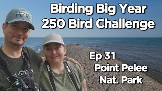 250 Bird Challenge Point Pelee National Park Ep 31 [upl. by Wetzell]