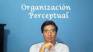 Organización Perceptual [upl. by Pubilis]