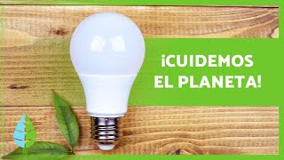 10 ACCIONES para CUIDAR el MEDIO AMBIENTE 🌏✅ [upl. by Carmelle599]