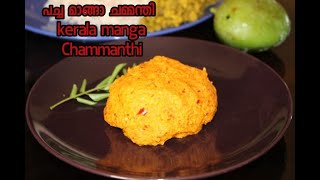 Chammanthi  പച്ചമാങ്ങാ ചമ്മന്തി  Kerala Raw Mango Chutney [upl. by Salamanca]