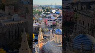 View from Giralda tower in sevilla spain travel spaintravel shorts shortsfeed europe indian [upl. by Nabe]