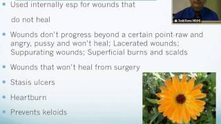 Calendula Officinalis Homeopathic Medicine Tips For Beginners [upl. by Annayr]