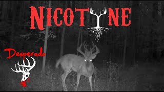 Big Buck Season Approaches Jimbow and Chris gear up with Desperados NicotYne for success [upl. by Revorg]