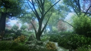 Modded Oblivion  2017  The River Ethe [upl. by Eedeed896]