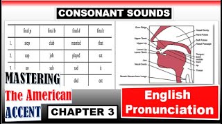 Chapter 3  CONSONANT SOUNDS  PHONETIC SYIMBOLS  Mastering the American Accent [upl. by Kimmel603]