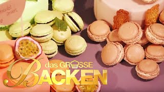 Das große Backen 2014  Macarons Klein aber oho [upl. by Eydnarb700]