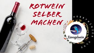 Rotwein selber machen wie ein Profi  Komplettes Tutorial [upl. by Winfred837]