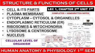 Cell Structure and Function  Human anatomy and physiology1 L 1  Unit 1  hap b pharmacy 1st sem [upl. by Aihtyc]