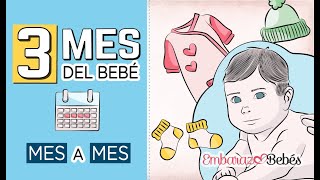 📆👶🏻 TERCER MES del bebé  3 MES  Desarrollo y cuidados [upl. by Bitthia]