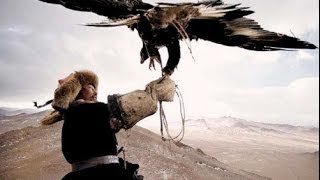 CACCIANDO  Caccia in Mongolia Eagles vs Wolves amazing hunt [upl. by Scherle]