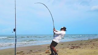 Fisherman Lands Rare 6ft Fish at the Beach [upl. by Kimberli]