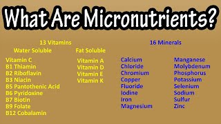 What Are Micronutrients Vitamins And Minerals Explained  RDA For Vitamins And Minerals [upl. by Nomelc292]