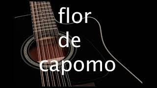 flor de capomopista karaoke [upl. by Notna]