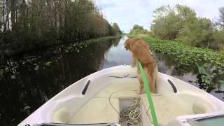 Boating Lake Thonotosassa [upl. by Shaw904]