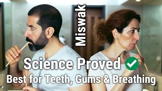 Benefits of MISWAK Natural Toothbrush or Hype Science Proved ✅ [upl. by Zadack]