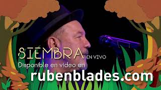 SIEMBRA en VIVO  TRAILER [upl. by Idonah983]