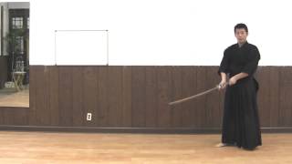 Practice Kendo At Home [upl. by Lseil316]