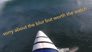 CRAZY REBOUNDS Surf kayaking MUDJIMBA ISLAND [upl. by Ardnuek]