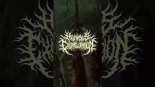 New music by Heinous Exsanguination 👀  Shorts BrutalDeathMetal SlammingDeath teaser [upl. by Nagorb716]