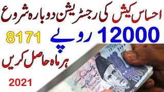 Ehsaas 12000 Cash Program 8171  How to Register in Ehsas Emergency Cash Program 2021 [upl. by Crandell]