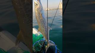 Kayak Fishing fishing fishingmethods fishingkayak point65n ssmk [upl. by Nosac]