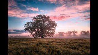 Musiques pour se Relaxer Méditer Dormir Se Réveiller en douceur avec paysages naturels [upl. by Iosep]