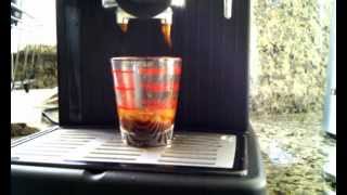 Single Espresso shot with Delonghi Caffe Treviso aka Bar14 [upl. by Eninaej375]