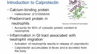 Calprotectin and Inflammatory Bowel Disease Hot Topic [upl. by Hymie]