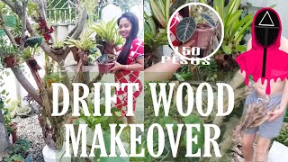 DRIFTWOOD MAKEOVER FREE FROM BASURAHAN TURN INTO BEAUTIFUL GARDEN DECOR Thecampbells Madhouse [upl. by Roseanne]