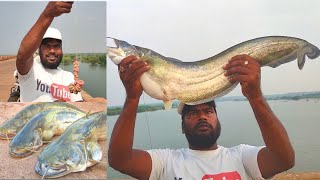 🦈Amazing wallago attu cat catfishPathan fish cuttingvillage fishing vlog [upl. by Amabelle320]