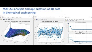 MATLAB analysis and optimization of 3D data in biomedical engineering [upl. by Essined]