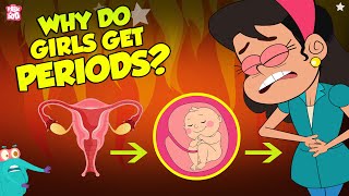 Why Do Girls Get Periods  Menstruation  The Dr Binocs Show  Peekaboo Kidz [upl. by Mitzie]