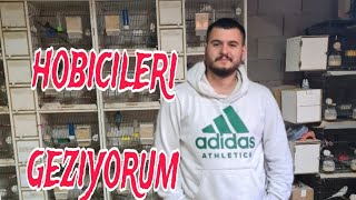 AKVARYUM HOBİCİLERİNİ GEZİYORUM [upl. by Laroy]