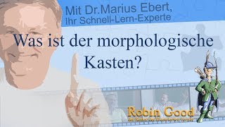 Was ist der morphologische Kasten [upl. by Oilerua]