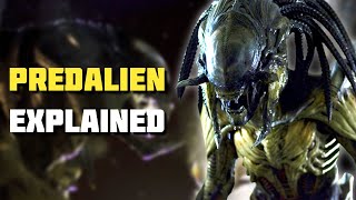 PredAlien  Xenomorph Explained AVP Lore [upl. by Ignaz477]