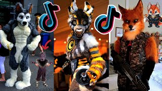 Furry Memes  Dino Mask TikToks Compilation 29 [upl. by Hajar]