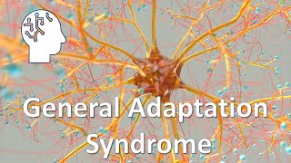 General Adaptation Syndrome [upl. by Imij]