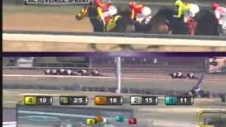 2011 Breeders Cup Juvenile Sprint  Secret Circle [upl. by Annazor]