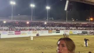 Paisley and Sooner winning barrels at the SB Fiesta Days rodeo 82024 [upl. by Illene]