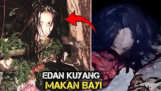 BIADAB KUYANG ASLI MAKAN BAYI 5 PENAMPAKAN HANTU TERJELAS [upl. by Aihcats]