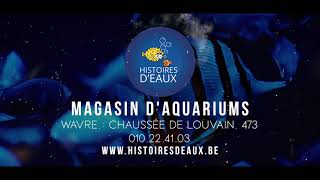 Histoires dEaux à Wavre  Votre Expert en aquariophilie [upl. by Jeanie]