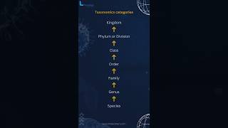 Taxonomics categories  Class 11 Biology ncert [upl. by Cost]