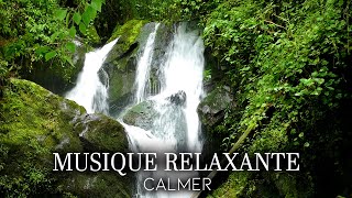 Musique Zen Nature  Relaxation Pour se Détendre  Méditation pour Dormir [upl. by Aneev]