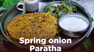 Spring Onion Paratha  Paratha Recipe  How To Make Onion Paratha innovativefoodlab [upl. by Griff330]