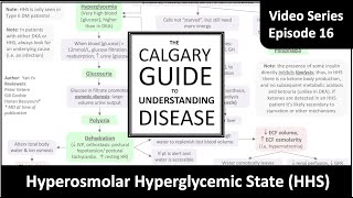 Hyperosmolar Hyperglycemic State HHS [upl. by Mount]