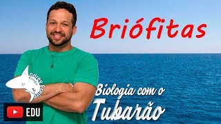 Briófitas  Botânica  Biologia com o Tubarão [upl. by Aliehc]