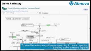 Gene Pathway [upl. by Dnalra]