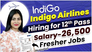 Indigo Airlines में निकली भर्ती  Indigo Job Vacancy 2024  Airport jobs in India [upl. by Kiki]