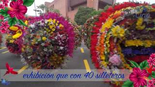 ORIGEN DE LA FERIA DE LAS FLORES [upl. by Snyder]